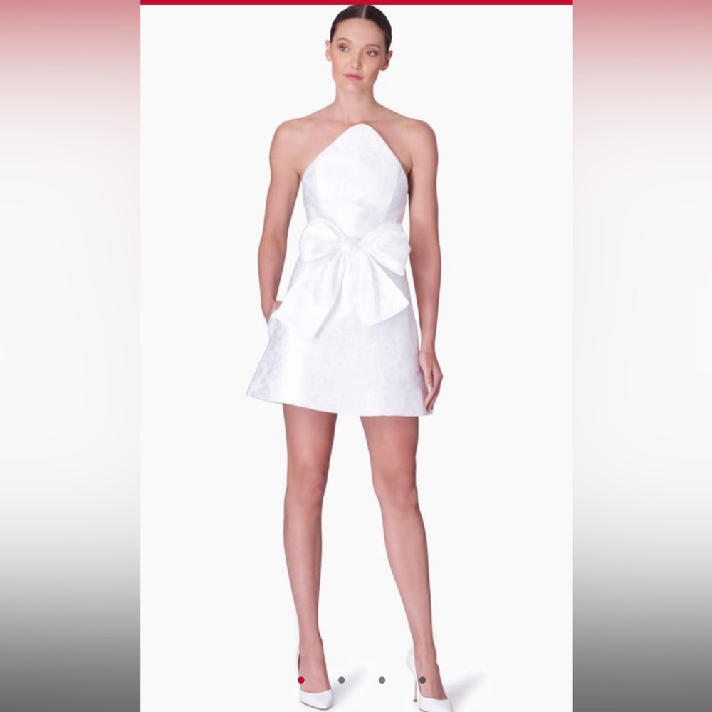 Carolina Herrera Jacquard Mini Dress With Bow, Size 2! Worn once